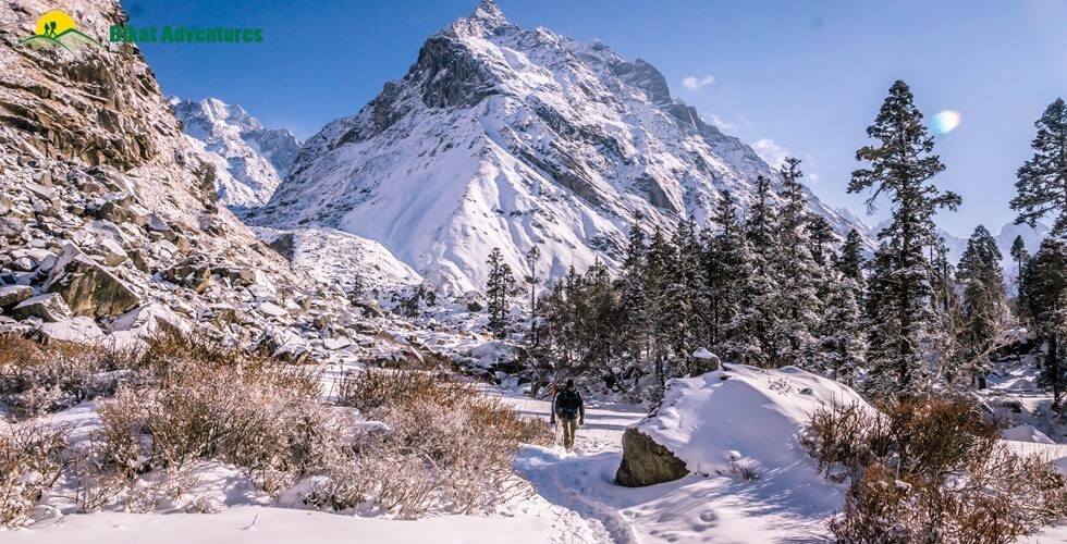Har Ki Dun Trek image