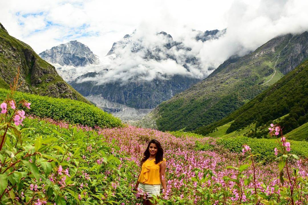 Valley of Flowers Trek image